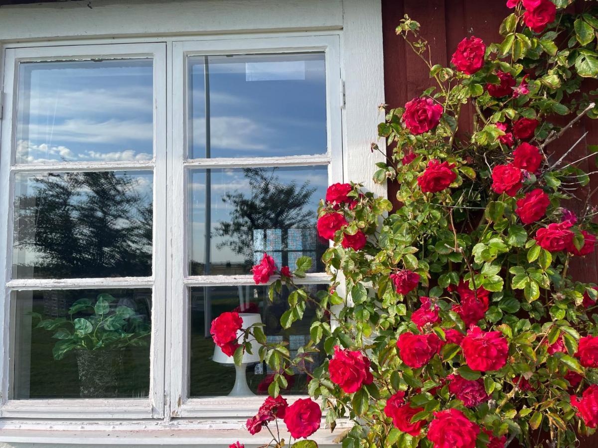 فيلا Kapelludden Oestra Oeland Köpingsvik المظهر الخارجي الصورة